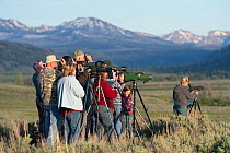 Wolf watchers in Lamar Valley. Yellowstone National Park, USA. June 2013.