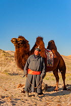 A herder with Bactrian camel, in the Hongoryn Els sand dunes. Gobi Desert in southern Mongolia.