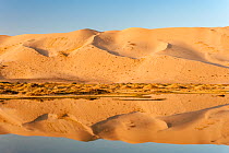 Khongoryn Els sand dunes and reflection in pond, South Gobi desert. Mongolia.