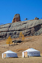 Gers (yurts) in Gorkhi-Terelj National Park , Mongolia.