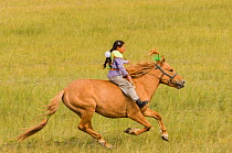 Young girl Horse racer at Darhat Valley naadam festival. Mongolia.