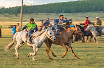 Young Horse racers near the finish line. Darhat Valley naadam festival. Mongolia.