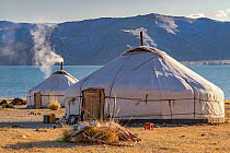 Nomadic herder&#39;s camp, two gers / yurts, Alti Mountains, Western Mongolia. Fall. October 2011.
