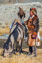Eagle hunter with female golden eagles (Aquila chrysaetos) in route to the Eagle Hunters festival near Ulgii Western Mongolia,