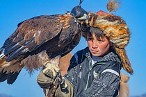Child with father&#39;s female golden eagle (Aquila chrysaetos) at the Eagle Hunters festival near Ulgii Western Mongolia.