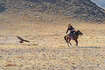 The Chargai competition. The hunter drags a fox skin behind the horse for the Golden Eagle to catch. Eagle Hunters Festival, Altai Mountains, Bayan-Ulgii, Western Mongolia.