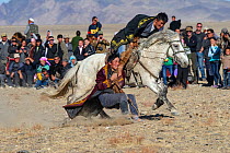 Tug-of -war game, ( Kukbar game) at the Eagle Hunters festival near Ulgii, Western Mongolia.