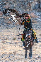 Eagle hunter with female golden eagle (Aquila chrysaetos) at the Eagle Hunters festival nearing finish line. Near Ulgii Western Mongolia. Medium repro only
