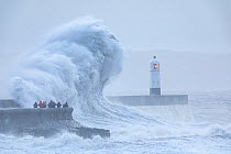 Waves crashing against coast during Storm Ciara, people storm watching on sea wall. Porthcawl Lighthouse, Mid Glamorgan, Wales, UK. February 2020.