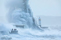 Waves crashing against coast during Storm Ciara, people storm watching on sea wall. Porthcawl Lighthouse, Mid Glamorgan, Wales, UK. February 2020.