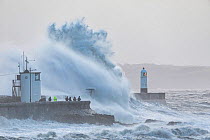 Waves crashing against sea wall during Storm Ciara, group of people storm watching. Porthcawl Lighthouse, Mid Glamorgan, Wales, UK. February 2020.