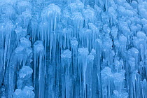 Ice formations in frozen waterfall. Pericnik Waterfall, Triglav National Park, Slovenia. January.