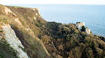 Hooken Undercliff, massive landslip that occured in 1790, now colonised by woodland and scrub, west of Beer, Devon. March 2020,