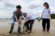 Students cleaning the beach, Horseshoe crab release event oragnized by Ocean Park Conservation Foundation, Hak Pak Nai beach, Yue Long, Hong Kong, China