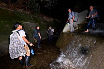 Photographers and local experts looking for amphibians and reptiles in aqueduct at night, Lantau Island, Hong Kong, China