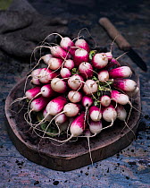 Radishes picked for eating, France