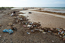 Plastic bottles amongst single use plastics washed up on beach, group of people litter picking the shoreline. East Timor. 2018.