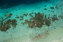 Snorkeler exploring reef, aerial view. Raja Ampat Islands, West Papua, Indonesia. 2018.
