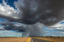 Monsoon rain clouds above road. Queensland, Australia. February 2013.