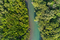 Daintree River flowing through rainforest, aerial view. Wet Tropics of Queensland, Far North Queensland, Australia.