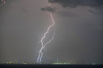 Lightning strike above skyscrapers on Gold Coast coastline. Queensland, Australia. 2018.