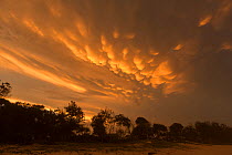 Mammatus cloud formations at sunset. Gold Coast, Queensland, Australia.