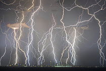 Lightning strikes above skyscrapers on Gold Coast coastline, composite image of strikes over a twenty minute period. Queensland, Australia. 2018.