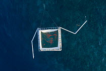 Harrison Integrated Spawn Catcher Rearer Inflatable Pool over Great Barrier Reef, aerial view. Coral spawn caught with arms during synchronised spawning event and held in pool. Larvae reared alongside...