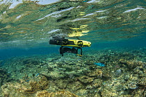 LavalBot, a semi-autonomous robot designed by Queensland University of Technology used to deliver reared Coral larvae as larval clouds onto targeted damaged coral reefs. Coral IVF project, Great Barri...