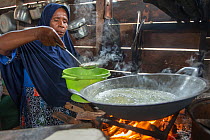 Woman cooking sago dish over open fire, a starch staple most commonly extracted from pith of Sago palm (Metroxylon sagu). West Papua, Indonesia. 2018.