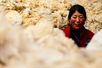 Woman selling Yak (Bos grunniens) wool at Tibetan market, portrait. Litang, Garze Tibetan Autonomous Prefecture, Sichuan, China. 2016. Editorial use only.