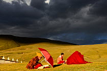 Buddhist novices studying and reciting mantas, in steppe under stormy sky. Ganden Thubchen Choekhorling Monastery, Litang, Garze Tibetan Autonomous Prefecture, Sichuan, China. October 2016.