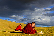 Buddhist novices studying and reciting mantra, outdoors sitting in steppe in stormy light. Ganden Thubchen Choekhorling Monastery, Litang, Garze Tibetan Autonomous Prefecture, Sichuan, China. October...