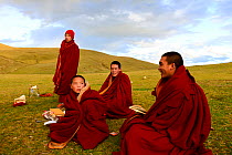Buddhist novices learning outdoors in grassland near Ganden Thubchen Choekhorling Monastery. Litang, Garze Tibetan Autonomous Prefecture, Sichuan, China. October 2016.