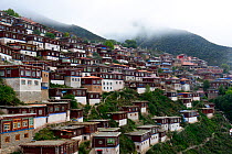 Buildings of Palpung Monastery on mountainside. Kham, Dege County, Garze Tibetan Autonomous Prefecture, Sichuan, China. 2016.