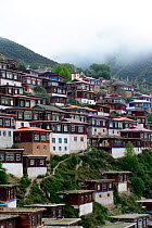 Buildings of Palpung Monastery on mountainside. Kham, Dege County, Garze Tibetan Autonomous Prefecture, Sichuan, China. 2016.