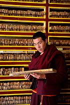 Monk holding wooden plate for printing Buddhist texts, plates stacked in shelves behind. In library, Palpung Monastery, Kham, Dege County, Garze Tibetan Autonomous Prefecture, Sichuan, China. 2016.