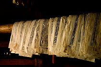 Freshly printed Buddhist texts drying. Palpung Monastery, Kham, Dege County, Garze Tibetan Autonomous Prefecture, Sichuan, China. 2016.