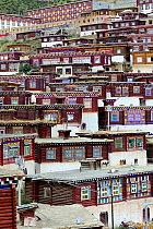 Rooftops of buildings of Palpung Monastery, on hillside. Kham, Dege County, Garze Tibetan Autonomous Prefecture, Sichuan, China. 2016.