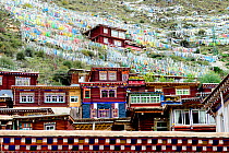 Buildings of Gonchen Gompa / Derge Monastery, prayer flags on hillside above. Derge, Garze Tibetan Autonomous Prefecture, Sichuan, China. 2016.