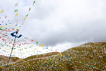 Buddhist prayer flags on hills. Gyerco Monastery, Tagong, Garze Tibetan Autonomous Prefecture, Sichuan, China. 2016.