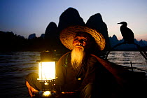 Traditional Chinese fisherman holding lantern / light on raft at dusk with domesticated Cormorant (Phalacrocorax carbo sinensis) used to catch fish, Karst peaks in background. Li River, Yangshuo, Guan...
