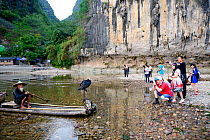 Tourists on riverbank photographing traditional Chinese fisherman with domesticated Cormorant (Phalacrocorax carbo sinensis) used to catch fish, cliff in background. Li River, Yangshuo, Guanxi, China....
