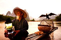 Traditional Chinese fisherman on raft with domesticated Cormorant (Phalacrocorax carbo sinensis) drying wings, birds used to catch fish, Karst peaks in background. Li River, Yangshuo, Guanxi, China. 2...