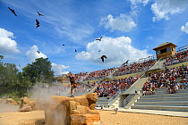 Birdsof prey performing at the bird show at the Beauval Zoo, Saint-Aignan, France.