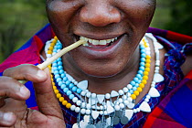 Masaai woman using traditional stick to clean her teeth. Ngorongoro Conservation Area, Serengeti National Park, Tanzania. March 2014.