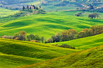 View across hills to Belvedere farmhouse. Val d&#39;Orcia, Tuscany, Italy. April 2010.