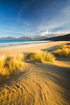 Sand dunes at Luskentyre, mountains across sea. Isle of Harris, Outer Hebrides, Scotland, UK. March 2014.