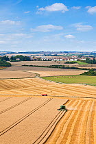 Combine harvester harvesting cereal crop, Poundbury in background. Maiden Castle, Dorset, England. August 2010.