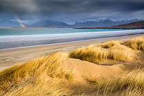 Sand dunes and beach under stormy sky, rainbow in distance. Luskentyre, Isle of Harris, Outer Hebrides, Scotland. March 2015.